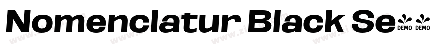 Nomenclatur Black Se字体转换